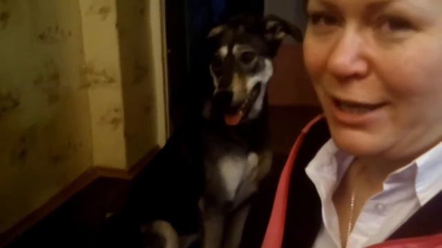 Мой самый преданный друг, моя любимая собака. смотреть онлайн