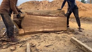 Holzfforma G888 vs big oak log