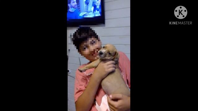 Мои животные(не все будет 2 часть) смотреть онлайн