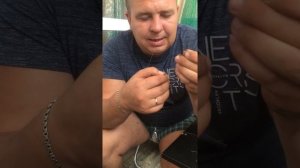 Донная снасть на осетра!