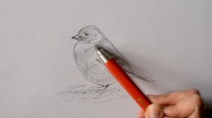 Цанговый карандаш KOH-I-NOOR Versatil 5347. ОБЗОР. Как точить цанговые карандаши?