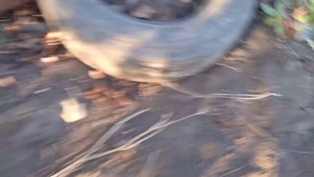 Дача, все начинается с малого и закончится планетой...Бердянск Запорожская смотреть онлайн