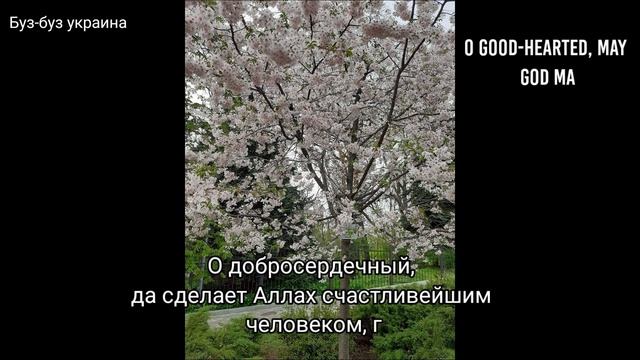 Добрый вечер друзьям?Ваш вечер - рай, и ваш сон будет спокойным, моя дорогая.Какая и красота!!! смотреть онлайн