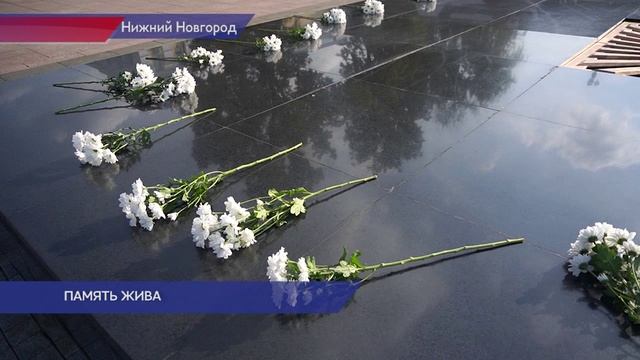В Нижнем Новгороде возложили цветы к Вечному огню в память о детях-жертвах войны на Донбассе