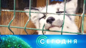 «Сегодня»: 18 мая 2023 года. 13:00 | Выпуск новостей | Новости НТВ