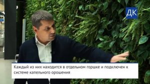 Как работает аэропорт Симферополя | Новый терминал