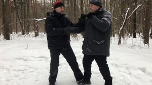 "Игра на китайской Лютне". Разбираем применение тайцзи Ян. Вариант 1