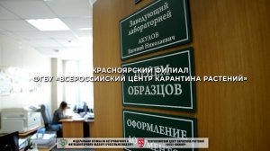 Красноярский филиал ФГБУ «Всероссийский центр карантина растений»