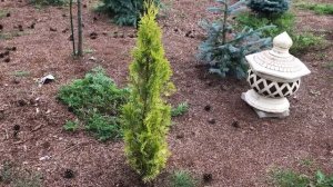 Поговорим и прогуляемся по саду Надежды