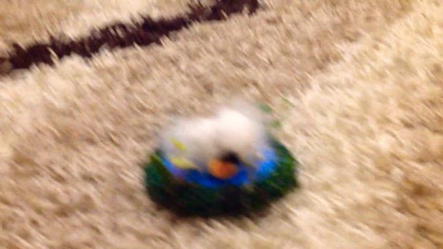 Обзор моих поделок животных смотреть онлайн