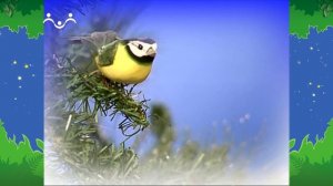 Вечер в Шишкином Лесу. Сказка. Проталинка