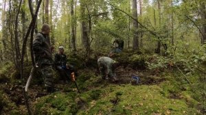 Поиск с металлоискателем в лесах Ленинградской области.