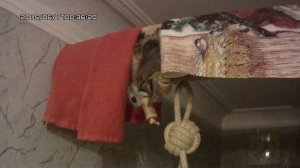 Baby Flying Squirrel - Белка летяга - エゾモモンガ