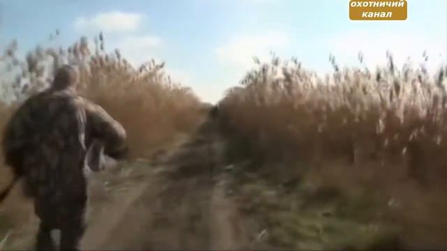 Охота на волка смотреть онлайн