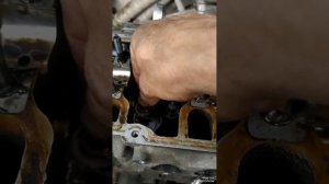 VW Golf5 замена маслосъёмных колпачков