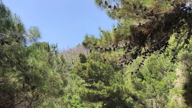 Тропа Здоровья Петровац Черногория, 26.06.2021.