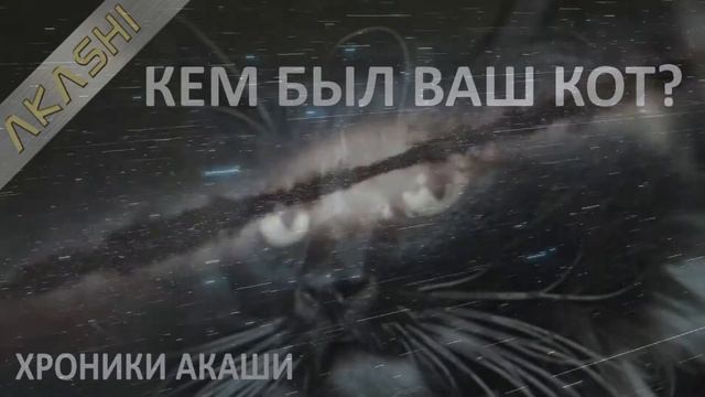Хроники Акаша. Кем был ваш кот? смотреть онлайн