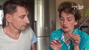 Как прививать сирень. Мастер класс от Сергея Маринкова. Сайт "Садовый мир"