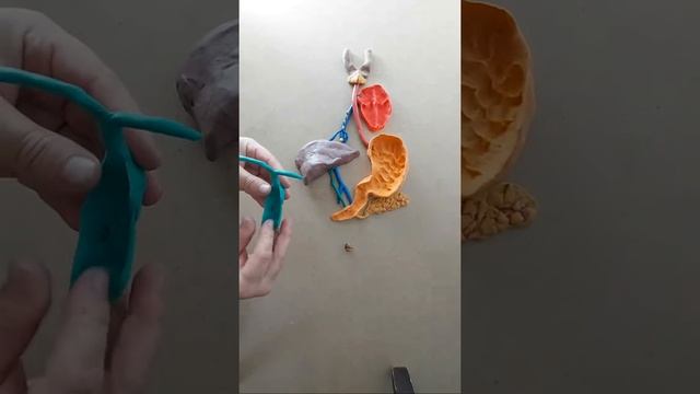 ИЧКИ АЪЗОЛАР ЖОЙЛАШУВИ / жонли эфир смотреть онлайн