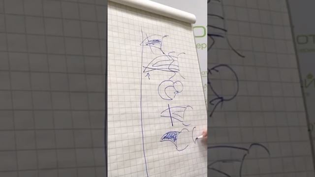 Схема стрижки когтей у собак и кошек
