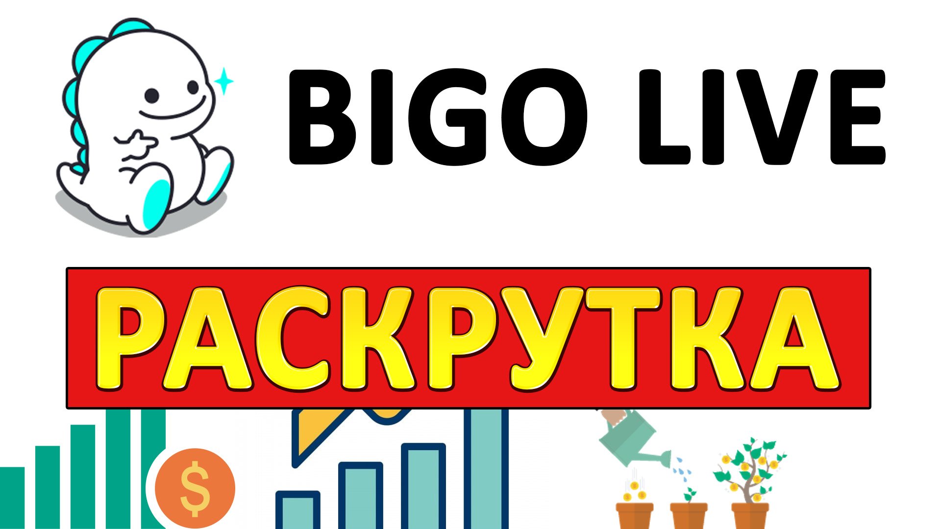Как Набрать Много Подписчиков в BIGO LIVE? Продвижение и Раскрутка в Биго Лайф