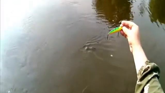 По Протве со спиннингом. Выпуск 2 смотреть онлайн