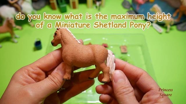 Schleich North America Miniature Shetland Pony Family Toy | Schleich 41432 смотреть онлайн