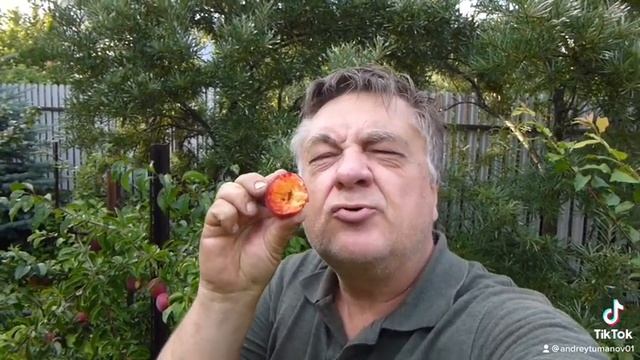 Фантастическая алыча! смотреть онлайн