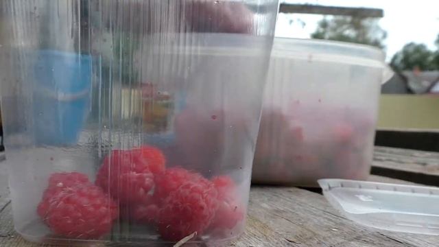 Сбор малины смотреть онлайн