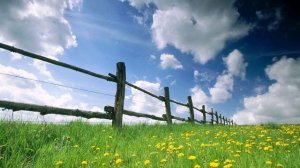 Что происходит в мире на сегодняшний день 2021 Свежие новости со всего мира Самое интересное