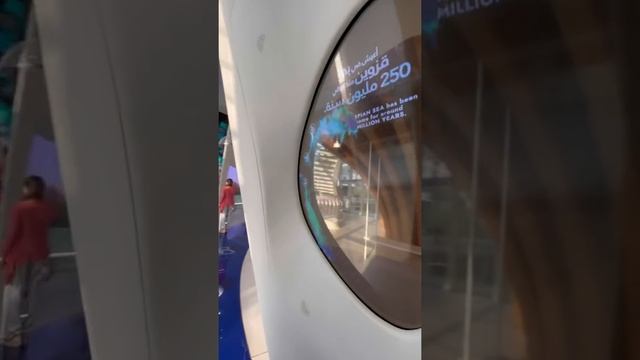 АЗЕРБАЙДЖАН в Дубае! ?? Чем удивили азербайджанцы на ЭКСПО 2020? (Expo 2021 - 2022)