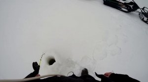 Рыбалка на Онежском озере- обкатка мотособаки Мужик