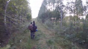 Охота на кабана с вышки 2019 первый выход