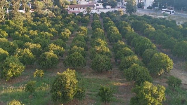 Турция. Beldibi. Grand Hotel Derin**** обзор номера 27.07 2022. смотреть онлайн