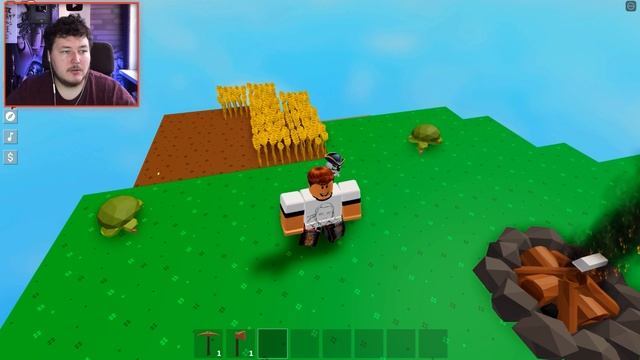 ПОМИДОРЫ КОТОРЫЕ СПАСЛИ МНЕ ЖИЗНЬ В РОБЛОКС СКАЙБЛОК | Роблоксер Альберт смотреть онлайн