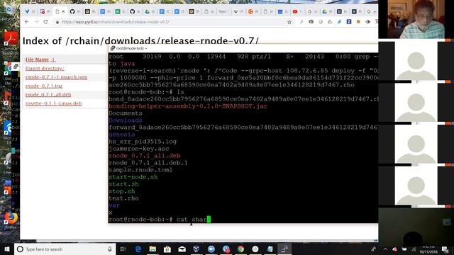 2018-10-11 RChain CoLab rnode cryptofex смотреть онлайн