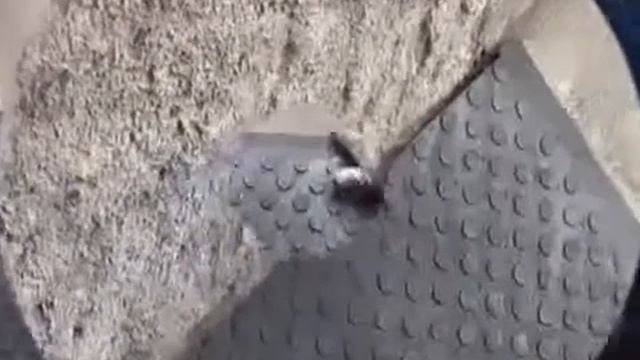 Универсальне покриття для підлоги плити REPLASTflv