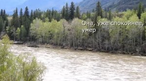 Видео стихотворение, "Жизнь - Горная река".