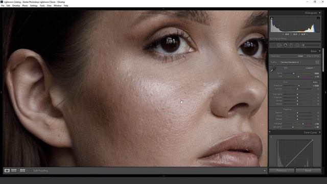 ЕСТЕСТВЕННАЯ ОБРАБОТКА ПОРТРЕТА / УРОК ПО ЦВЕТОКОРРЕКЦИИ +preset смотреть онлайн