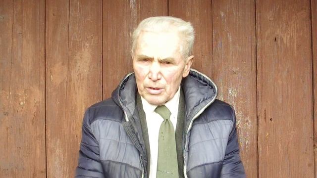 Спорт и физкультура смотреть онлайн