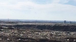 Турпоход на свалку Ростова-на-Дону