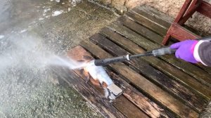 Линь - царская рыба.