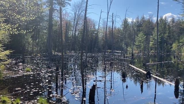 "Нам с тобой повезло", Слава Гауфберг смотреть онлайн