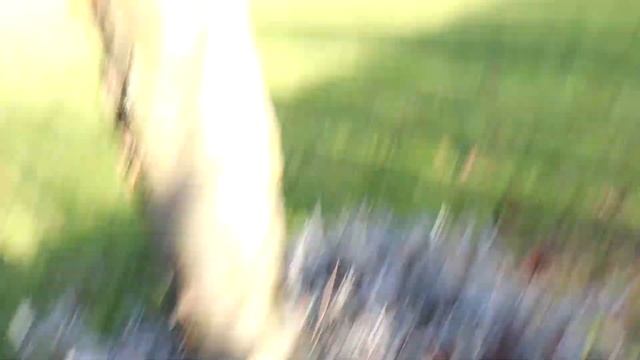 Canon EOS 77D Video test