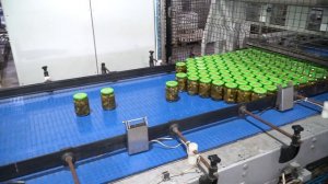 Green Ray. Производство маринованных огурцов