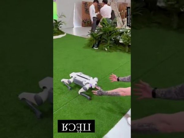 machine robot