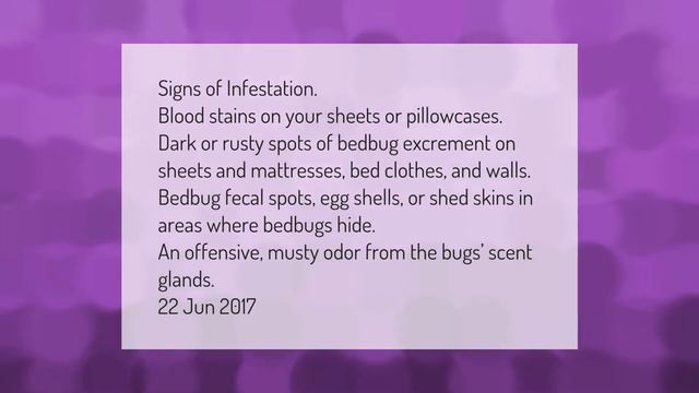 Can you see bed bugs with the naked eye? смотреть онлайн