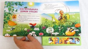 Как звери друг другу помогают (24Х36) - 978-5-490-00061-7