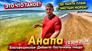 #Анапа МОРЕ ЗАЦВЕЛО! ГДЕ НАЙТИ ЧИСТЫЕ ПЛЯЖИ? БЛАГОВЕЩЕНСКАЯ- КЕМПИНГ ЖАРА. МОРЕ ЗАКРЫВАЮТ ЗАБОРАМИ!