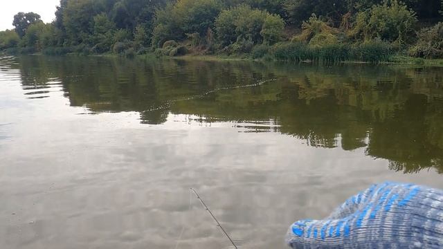 Трофейная Щука Поймана | Паловские Приманки Против Воблеров смотреть онлайн